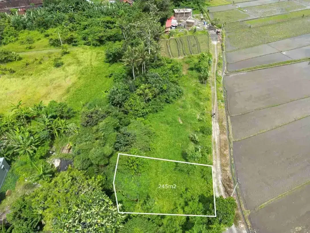 tanah plot kecil dekat pantai kedungu tabanan sangat bagus di bangun villa - Image 3 of 7