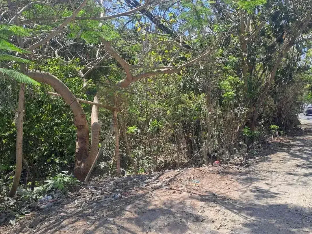 [ LEASEHOLD ] TANAH KOMERSIAL JALAN UTAMA ULUWATU PECATU - DEKAT NOURISH RESTO - Image 2 of 6