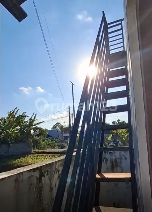 Disewakan Rumah Minimalis 2 KT dengan Rooftop - Belalang, Tabanan - Image 2 of 4