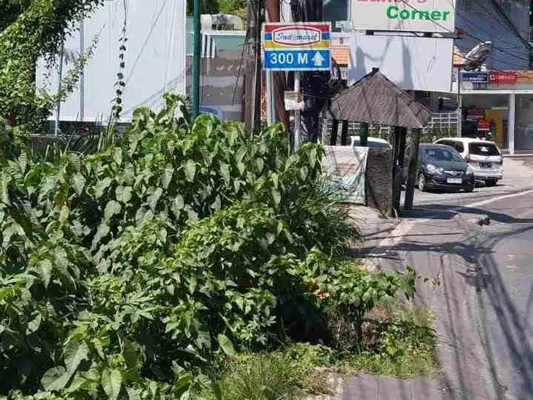 tanah bagus pinggir jalan raya Canggu cocok untuk usaha - Image 1 of 6