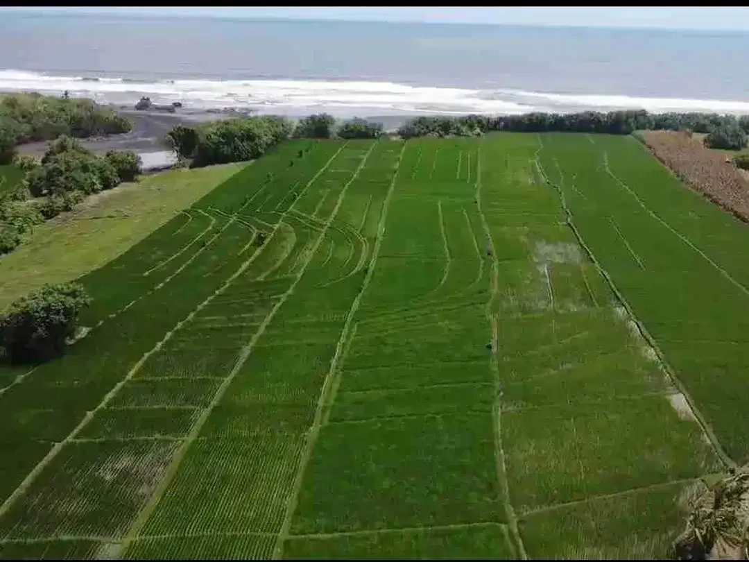 Tanah Komersial Los Pantai Pasut Tabanan Zona Wisata - Image 9 of 10