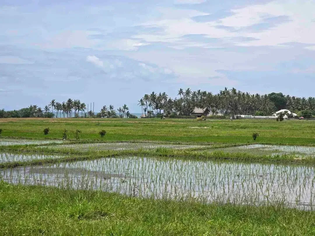 dijual tanah kecil view laut sawah di pantai pasut tabanan bali - Image 3 of 10
