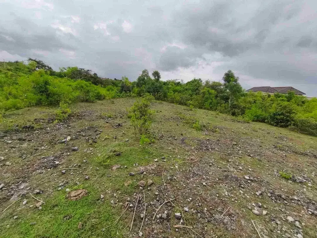 dijual tanah ocean view 1972m² IDR 700 juta /are kawasan purigading jimbaran - Image 7 of 10