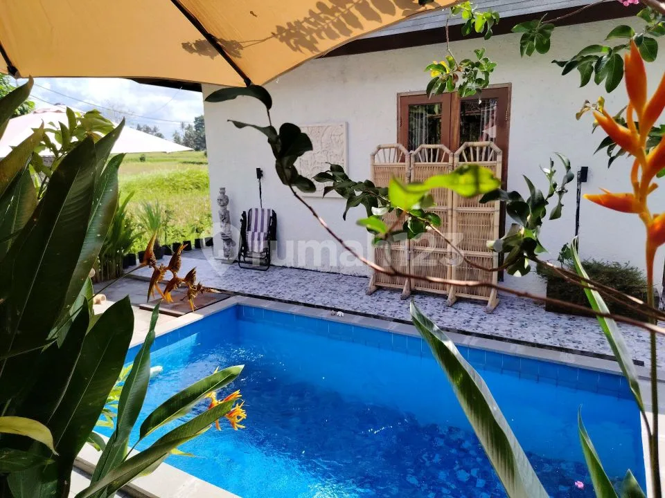 For Rent Villa Rice Field View Ubud 10 Menutes From Mongkey Forest Center Ubud Bali, 40 Menutes From Canggu Nyanyi Beach Canggu 5 Menutes From Rusters Kafe Price 18.000.000 View Very Beuatifulbali - Image 2 of 4