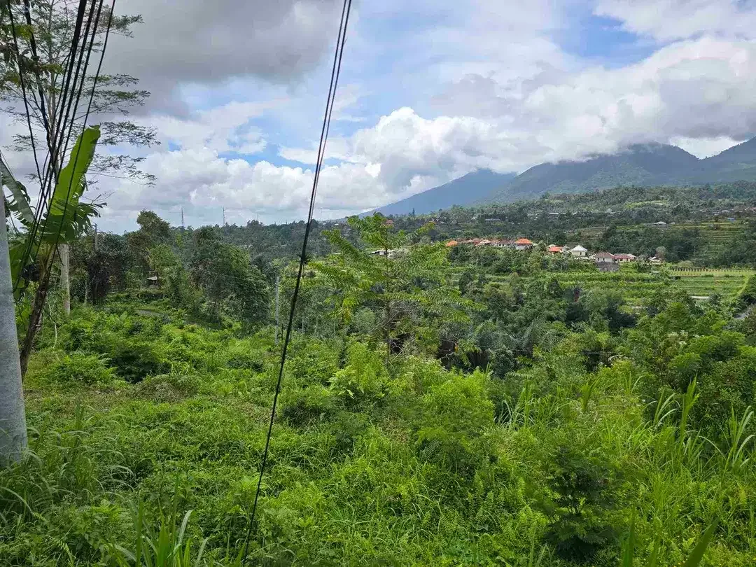 dijual tanah view exotik gunung dan terasering di baturiti bali - Image 4 of 10