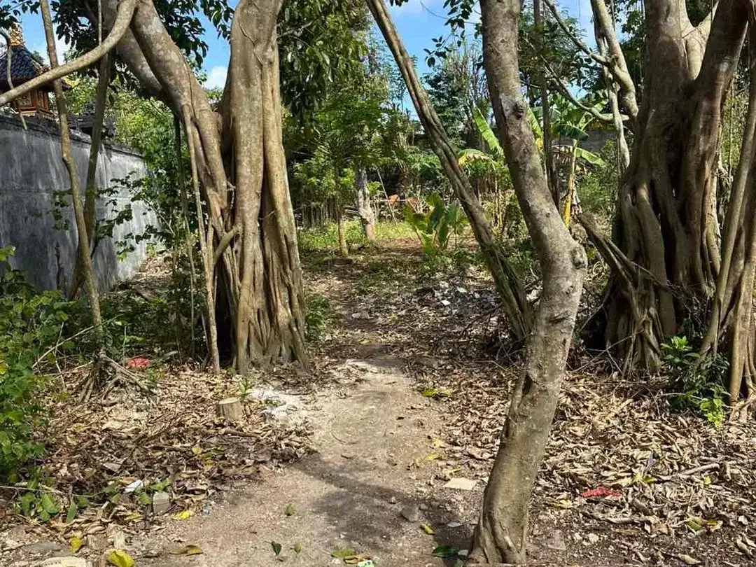 Tanah Strategis Lingkungan Villa Dekat Pantai Melasti Ungasan - Image 6 of 10