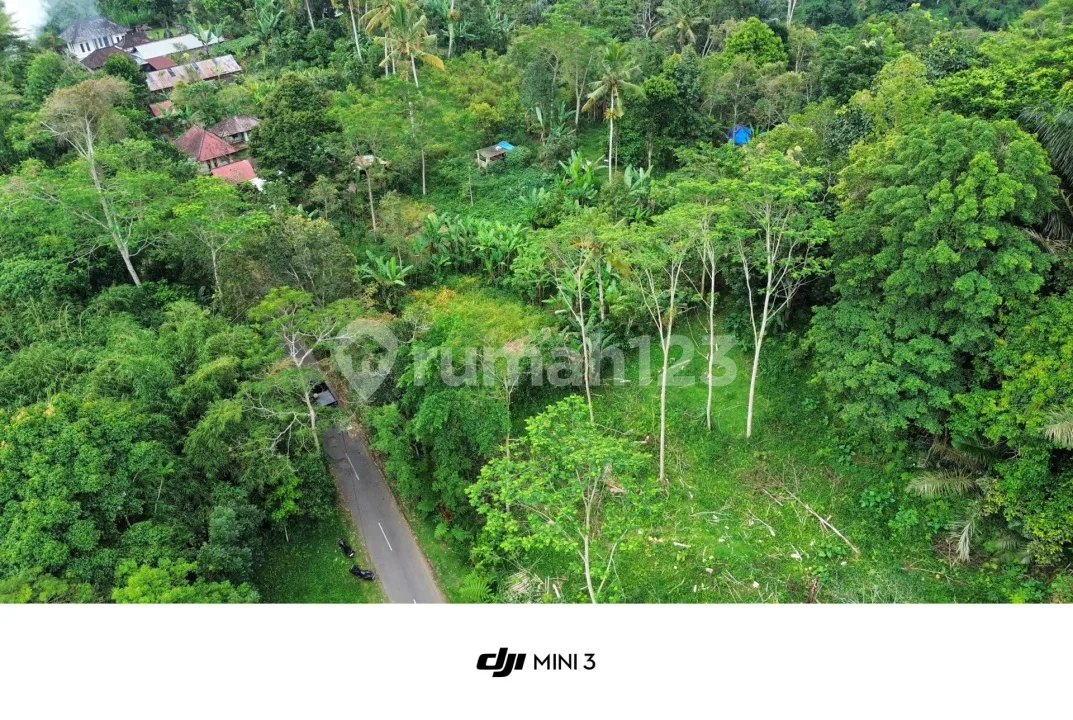 Dijual Lahan Murah di Taro Gianyar View Hutan - Image 3 of 4