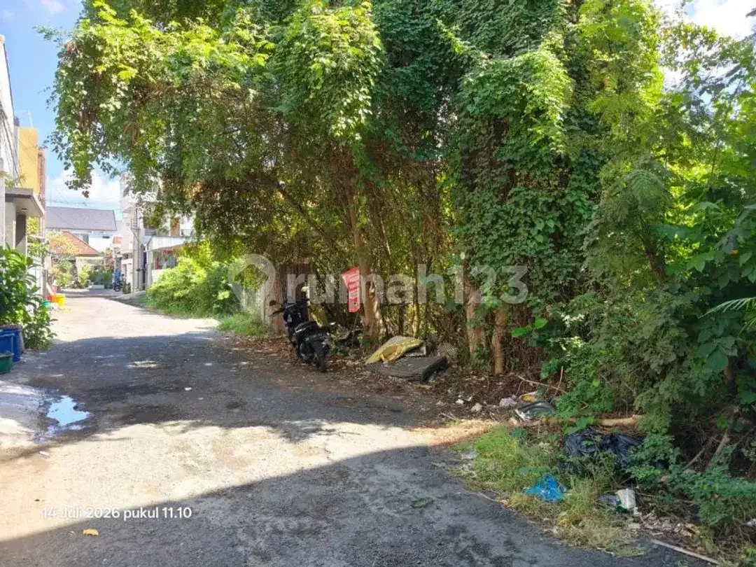 Dijual Cepat Tanah Lokasi Gelogor Carik Denpasar Selatan - Bali - Image 4 of 5