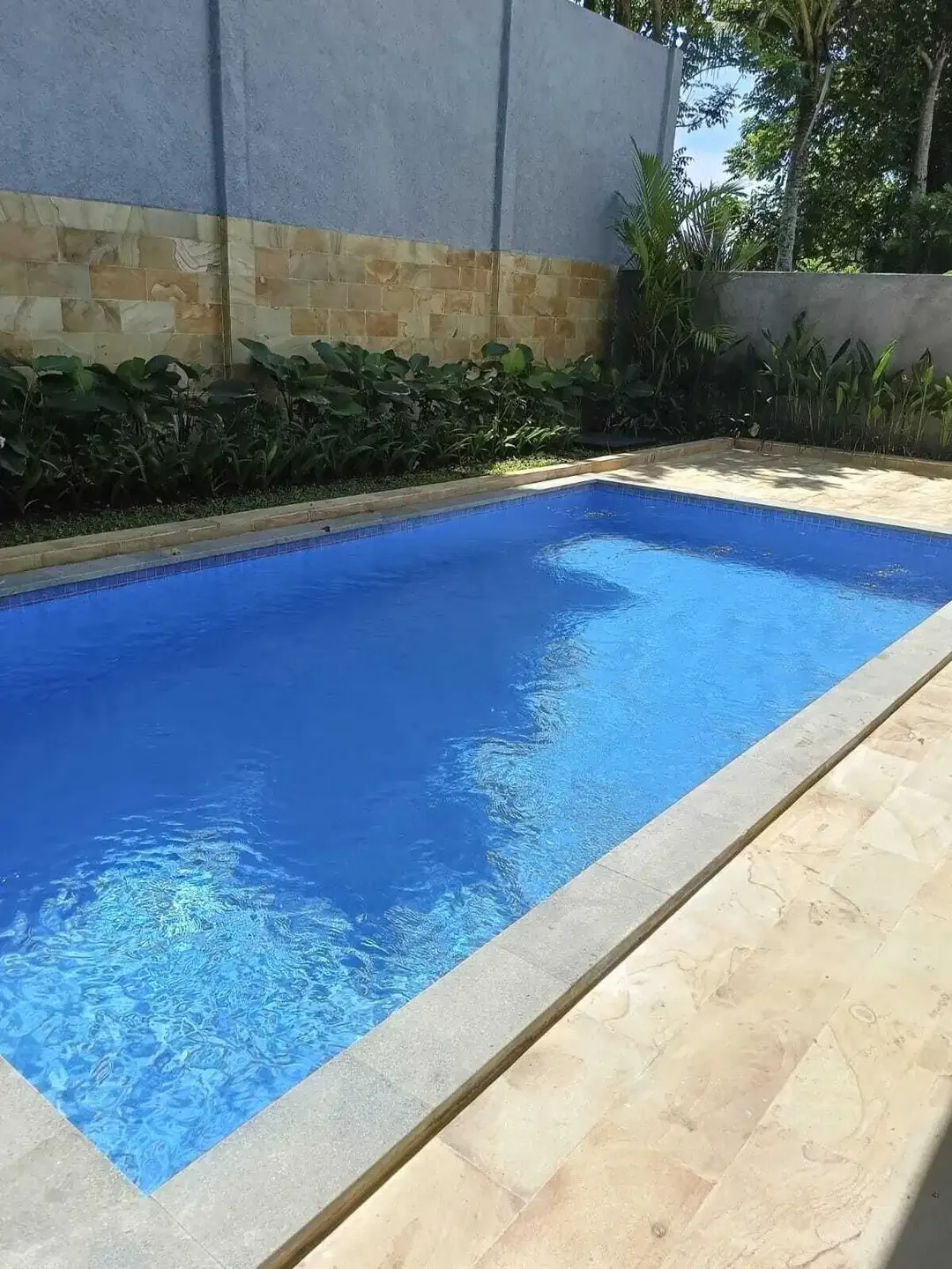FOR RENT VILLA NEW  UBUD LOKASI VIEW JUNGLE FULLY FURNISHED - Image 4 of 10