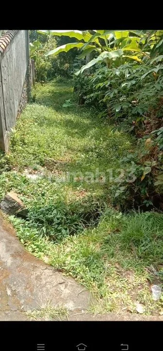 TANAH KEBUN VIEW LAUT BULIAN - Image 4 of 4