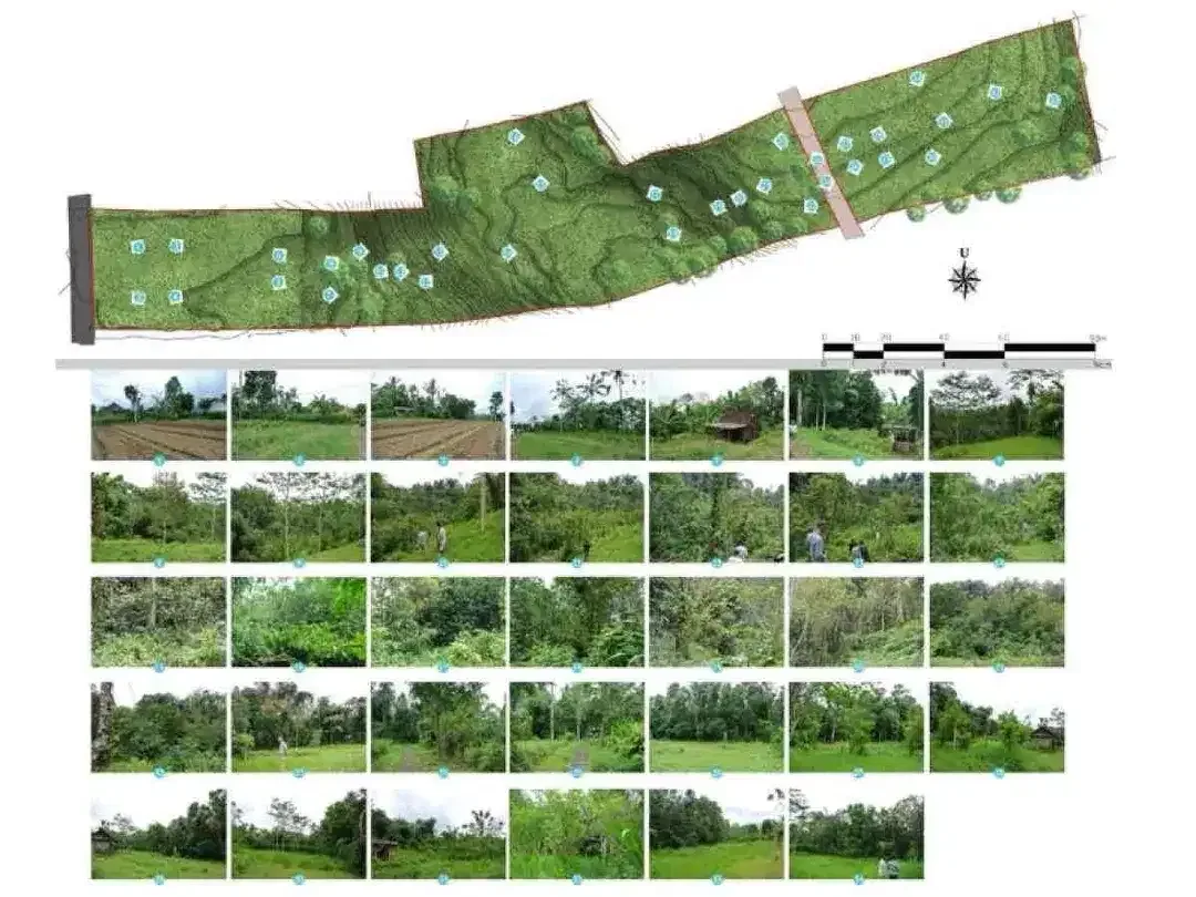 DIJUAL TANAH STRATEGIS DEKAT JATILUWIH TABANAN BALI - Image 6 of 6