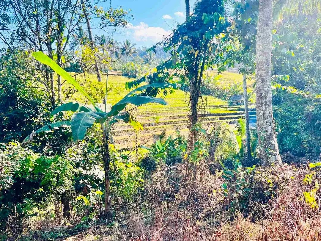 jual tanah Luas 950 m² harga 380 juta global, kawasan villa jarang ada, di tabanan bali. - Image 1 of 10