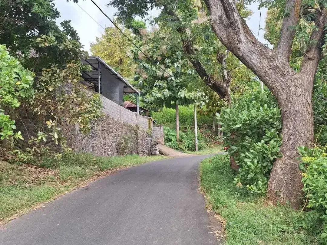 FREEHOLD LAND FOR SALE – LOVINA HILL Bali - Image 4 of 10