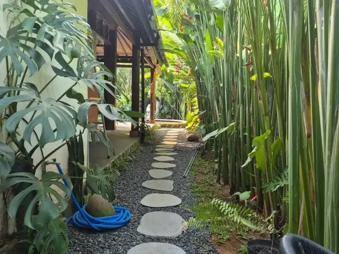 2 Bedroom Villa for sale in Lovina, Bali - Image 7 of 10