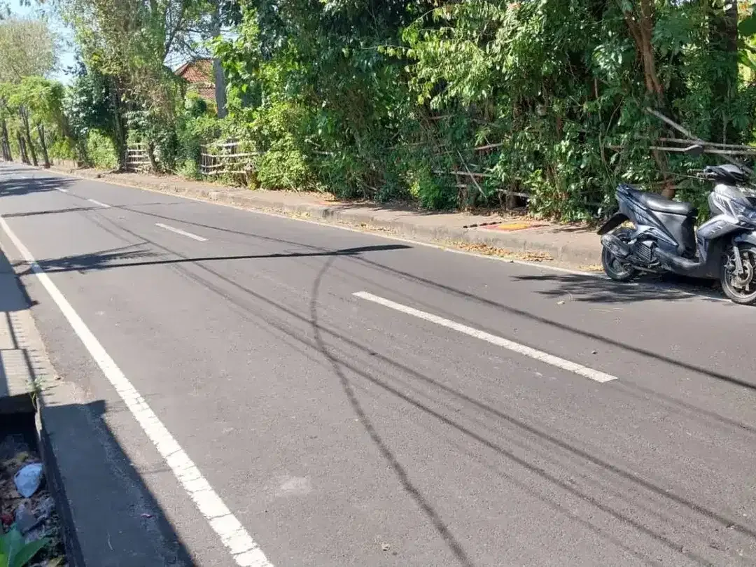 TANAH STRATEGIS DEKAT PANTAI DI KEDONGANAN - Image 3 of 7