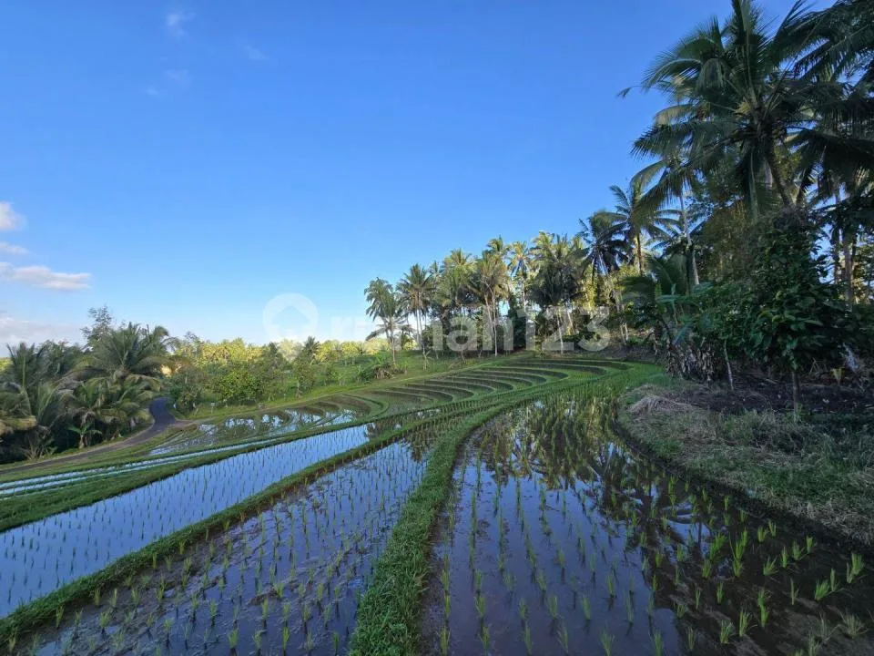 Butuh Uang Cepat Tanah Dijual Murah dengan Wiew Sawah di Tababan Bali - Image 1 of 4