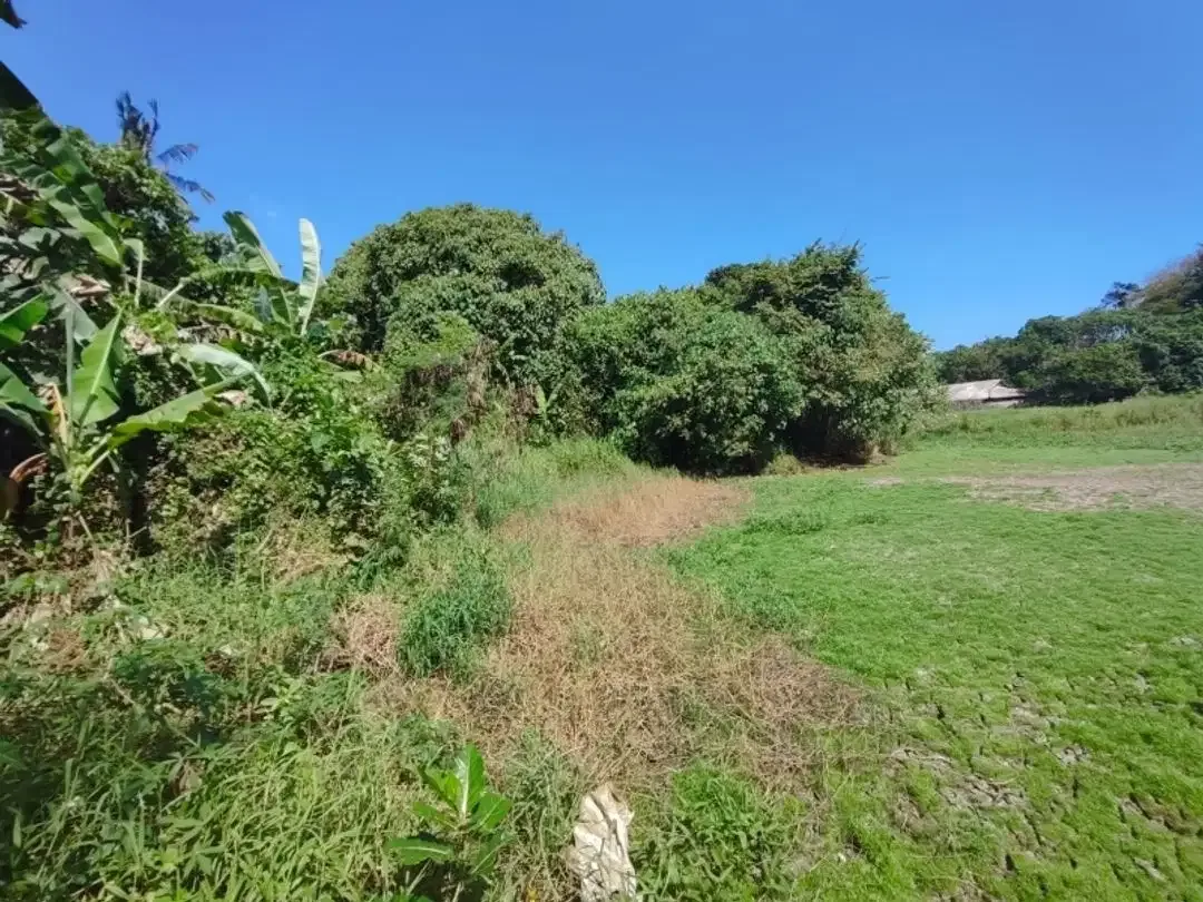 Tanah Dijual Cepat Dekat Pantai Yeh Gangga - Image 1 of 10