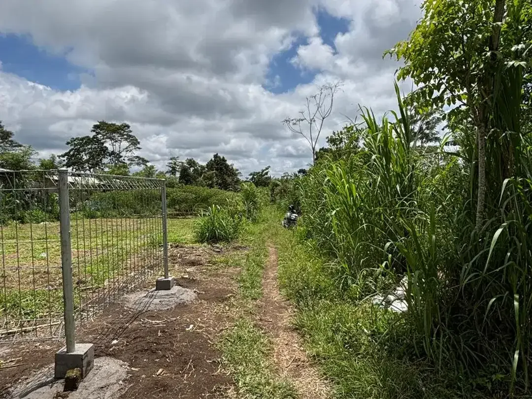 DIJUAL TANAH KAVLING SHM DI DESA TARO, UBUD, BALI - Image 6 of 10