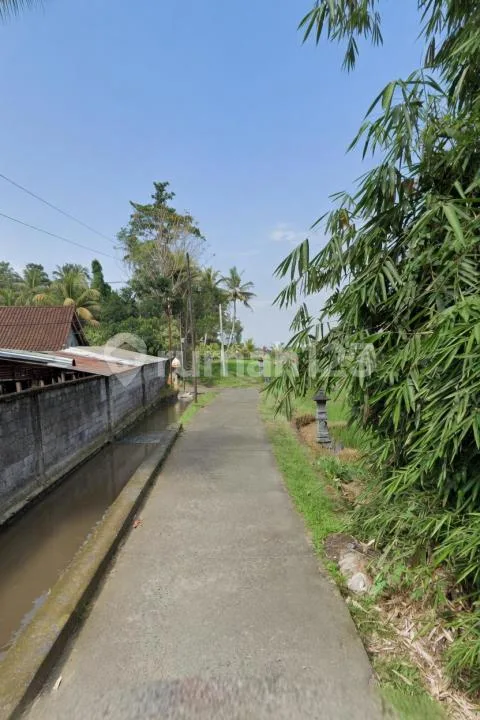 Tanah Datar Akses Mobil Pejeng Gianyar - Image 2 of 4
