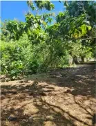 Land for lease in Pecatu - Image 2 of 10