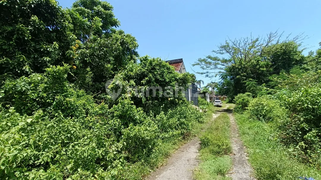 Tanah Kavling 204M2 di Taman Mumbul, Nusa Dua Sempurna untuk Vila - Image 4 of 4