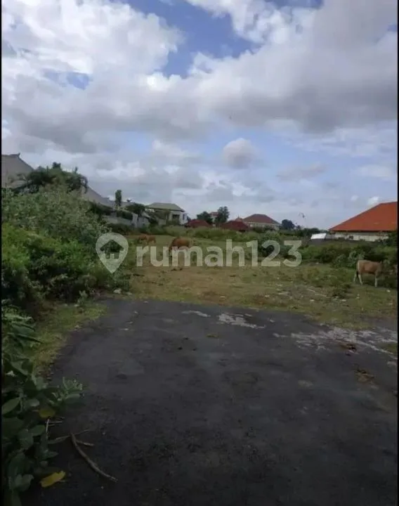 Tanah Murah Main Road Jln Bidadari Seminyak Badung - Image 4 of 4