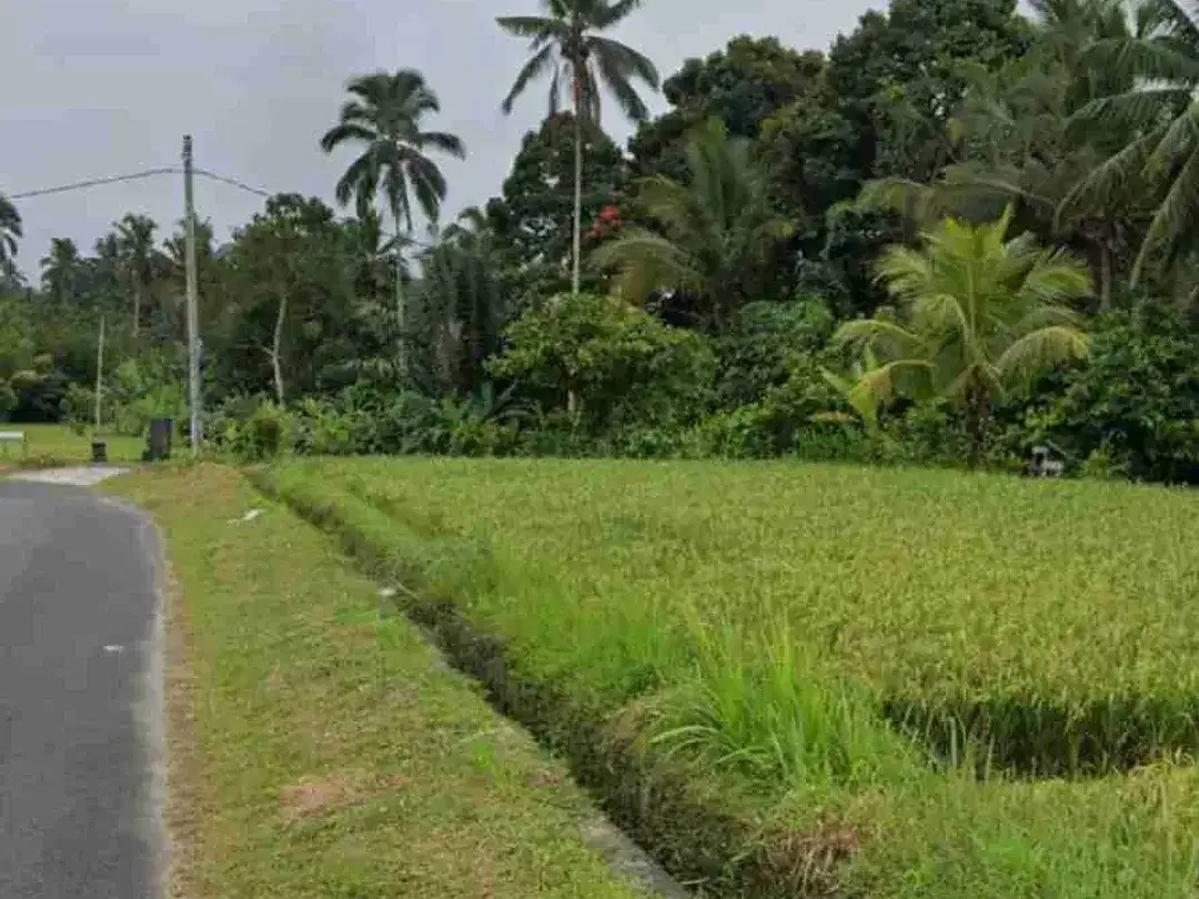 Tanah 3,6 Ha Los Sungai Ayung Petang Badung - Image 4 of 7