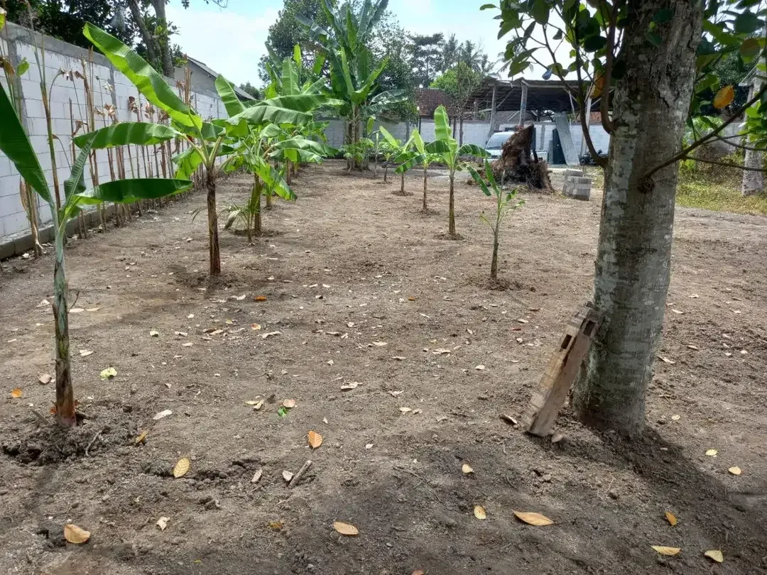 Dijual Tanah Raya Pengembungan - Image 8 of 8