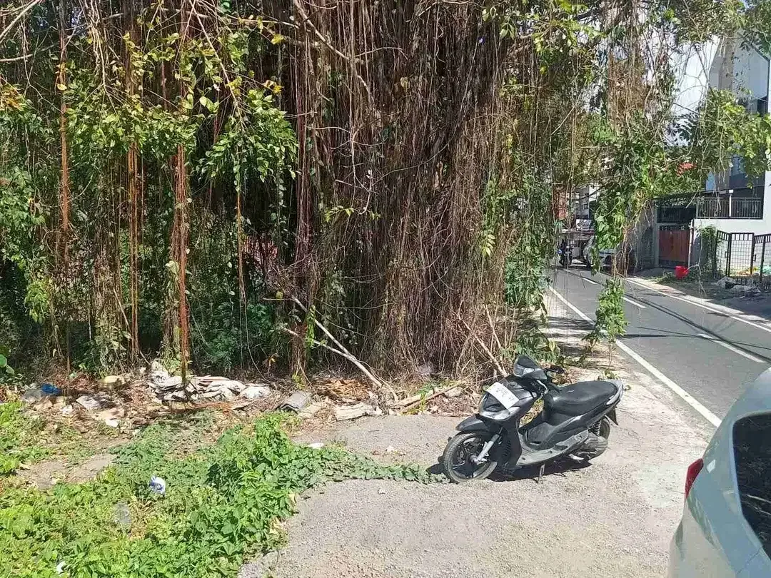 Lahan Premium Cocok Untuk Dibangun Rumah Atau Villa Denpasar Selatan Bali - Image 4 of 5