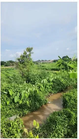 Tanah View Sawah di Kerobokan Kuta Utara - Image 3 of 10