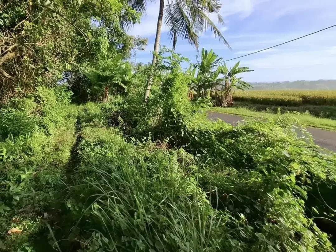 Tanah luasan kecil dekat pantai los sungai berisi air terjun view laut - Image 4 of 9