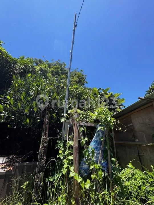 Dijual Tanah Area Bitera Gianyar - Image 2 of 2