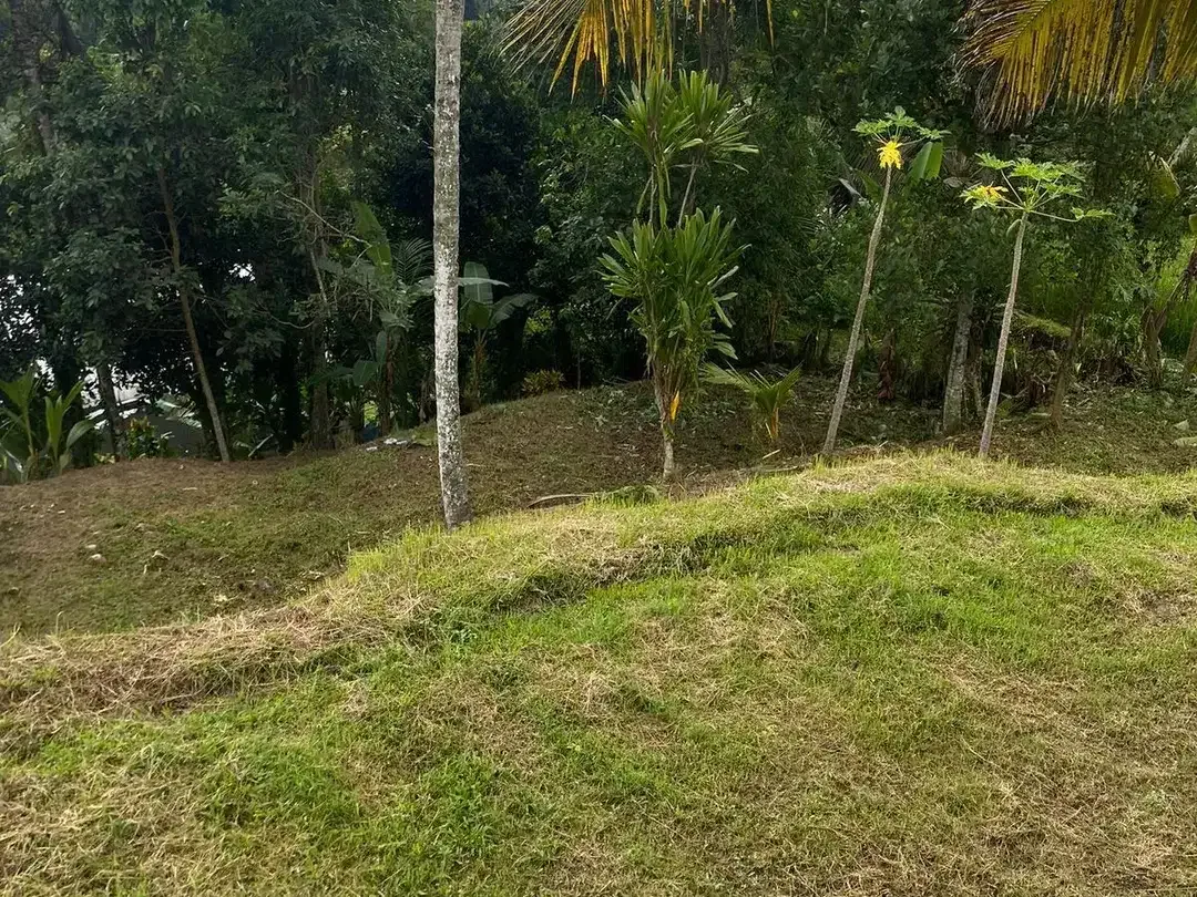Land for sale in Tegallalang, Bali - Image 6 of 10