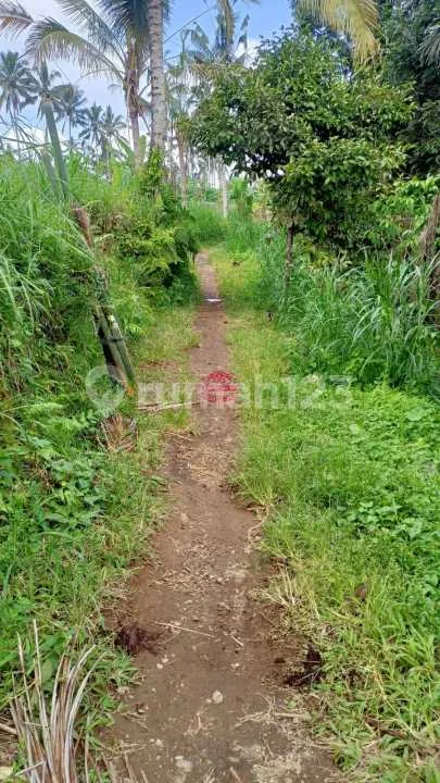 Tanah Jual Lokasi Belok Sidan - Image 2 of 3