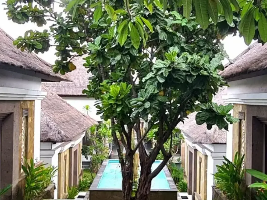 TANAH DAN BANGUNAN FAMILY SPA EKSLUSIF DI NUSA DUA BADUNG, BALI - Image 4 of 10