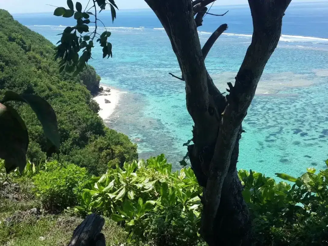 Tanah Tebing 2,79 Ha di Ungasan Beach Bali – View Laut, Zona Akomodasi Wisata - Image 5 of 7
