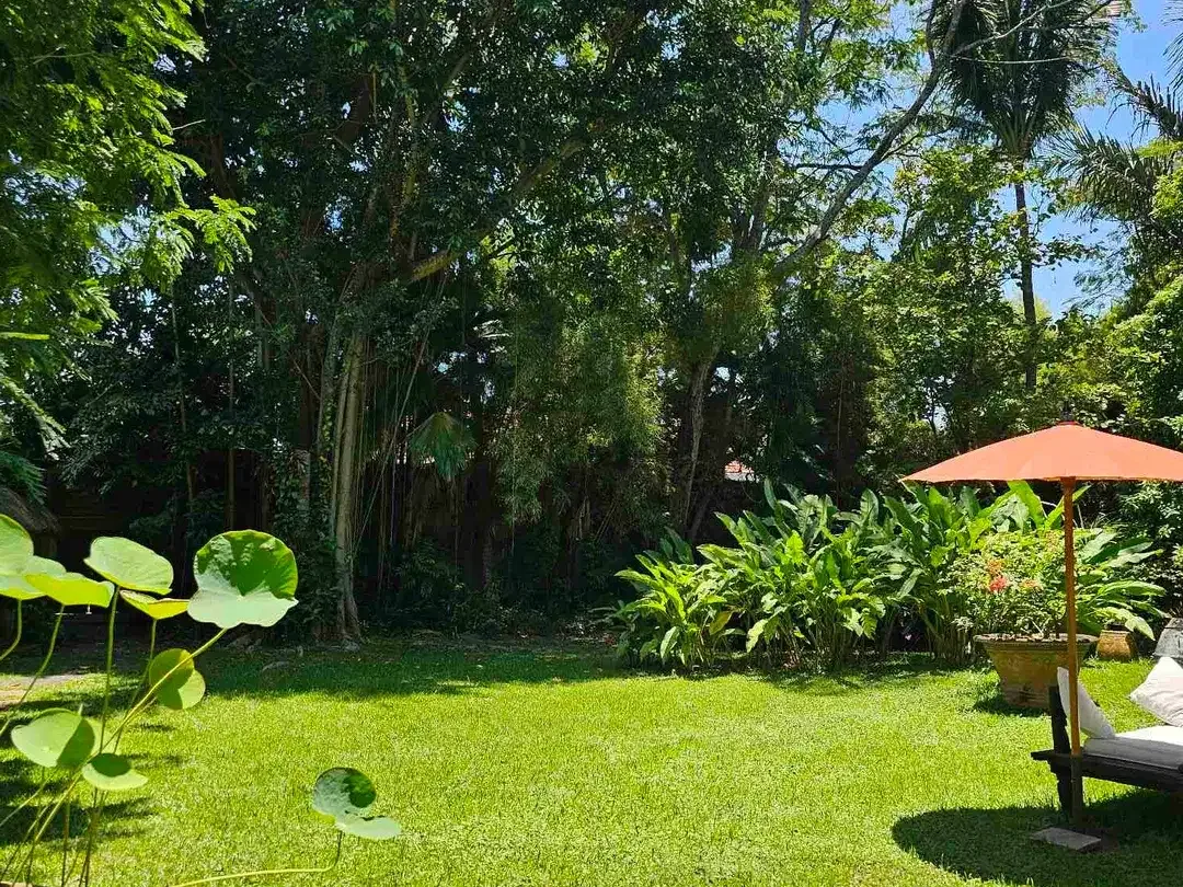 middle of seminyak good for bussines and sublease - Image 4 of 9