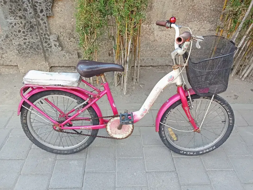 Sepeda anak perempuan WIMCYCLE STRAWBERRY R 20 - Image 1 of 3
