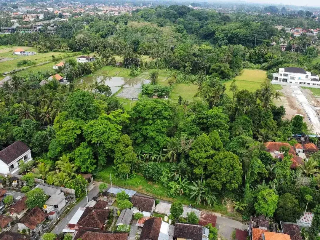 Tanah Murah di Sentral Ubud Dekat Restoran dan Fasilitas Umum - Image 3 of 10