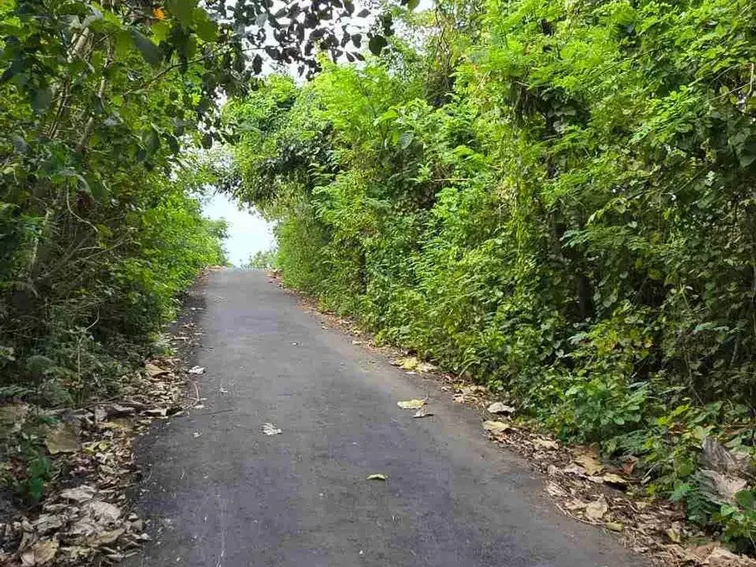 Kawasan Strategis 5 Menit Pantai Pandawa 1300m² SHM Lengkap - Image 6 of 6