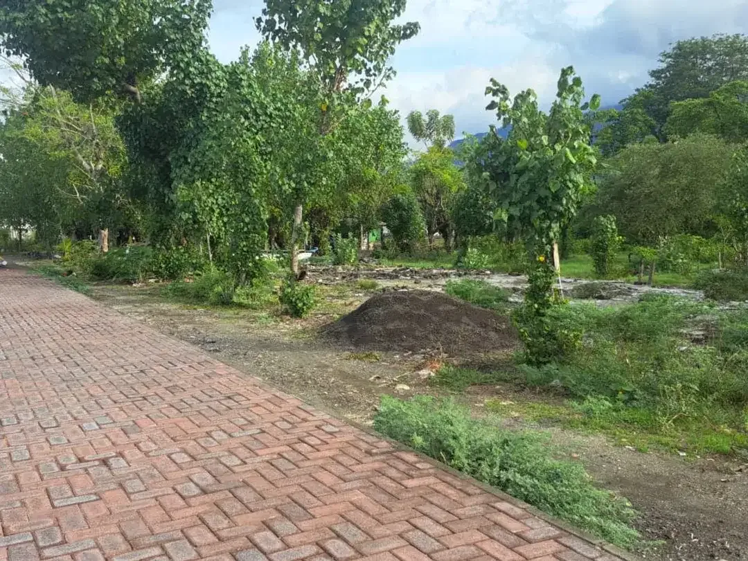 DIJUAL TANAH STRATEGIS TEPI JALAN PROVINSI – BULELENG, BALI - Image 1 of 5