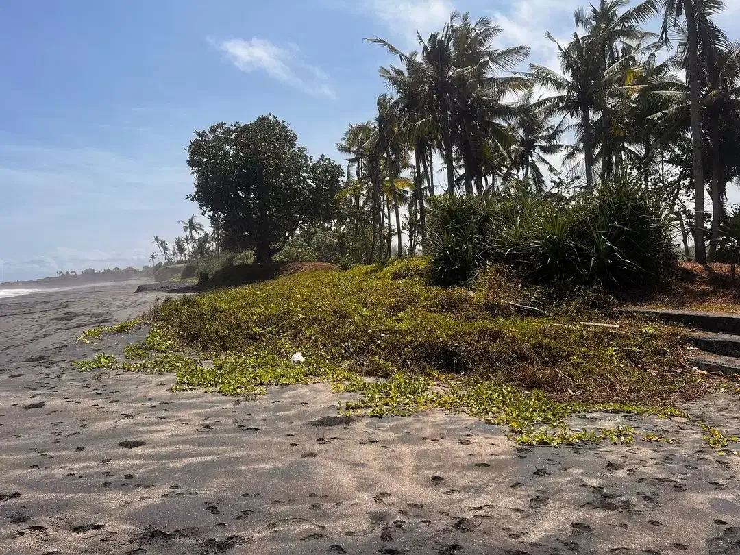 Prime Beachfront Land di Belong beach - Image 7 of 10