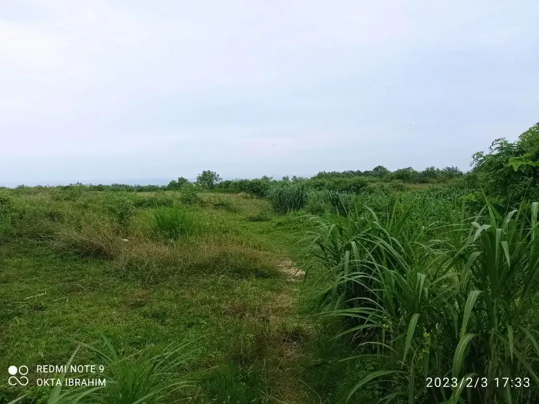 Rare Investment Opportunity Freehold or Leasehold – 2.97 Hectares Cliff Front Land at Nyang Nyang Beach - Image 7 of 10
