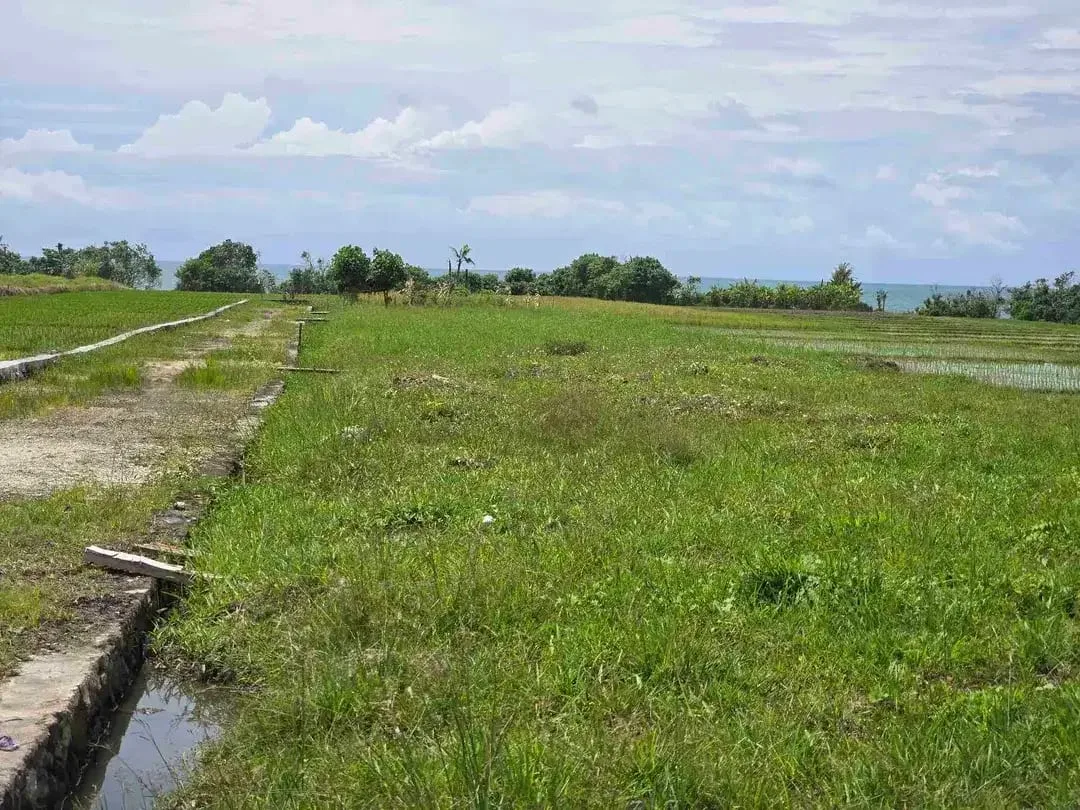 dijual tanah kecil view laut sawah di pantai pasut tabanan bali - Image 9 of 10