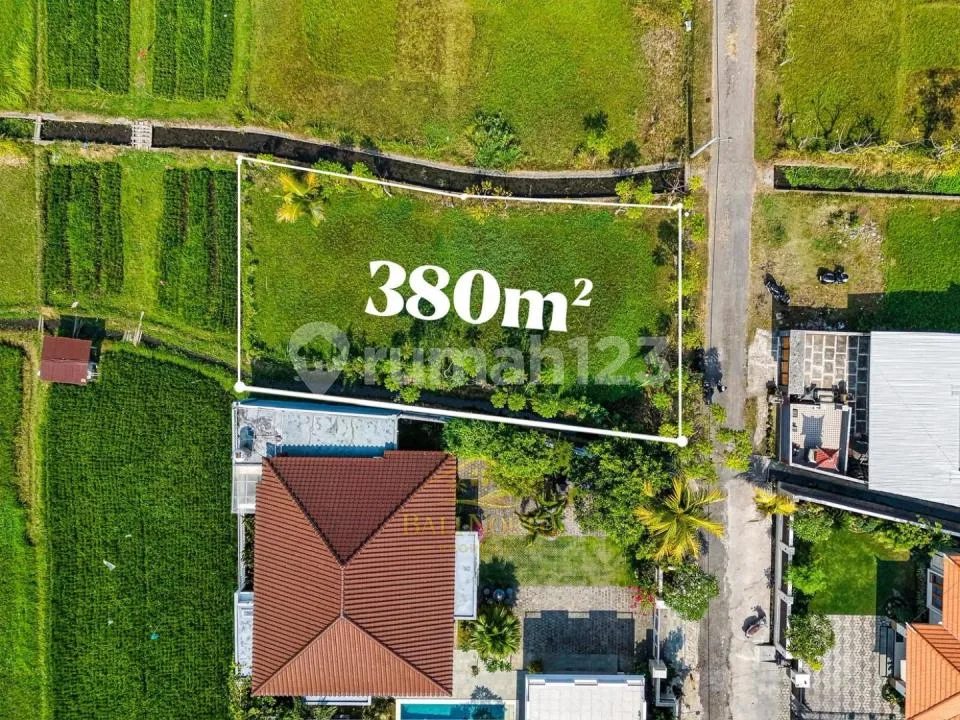 Tanah Premium Dijual di Lovina - View Sawah & Pegunungan - Image 1 of 4