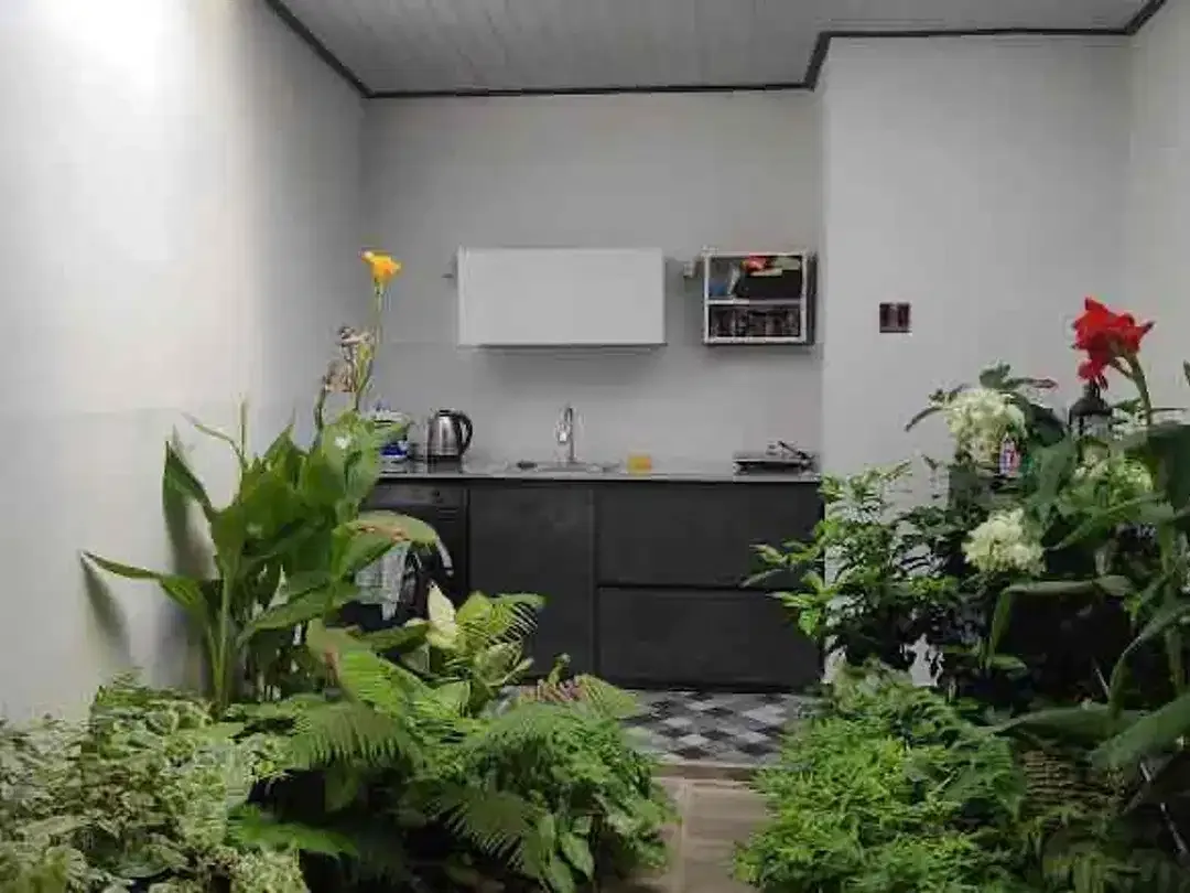 Dijual FREEHOLD atau LEASEHOLD rumah di daerah Saba, Gianyar. - Image 5 of 10