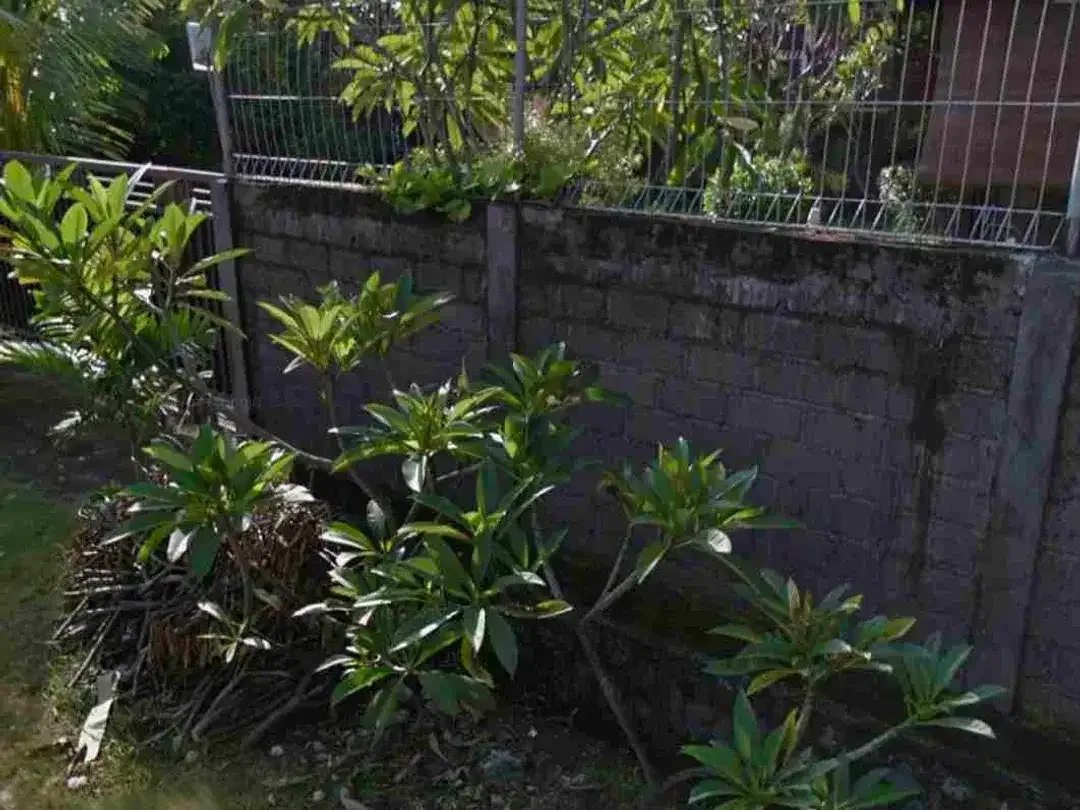 Tanah 3,7 Are di Tukad Badung Renon Dekat Kampus PRIMAKARA Panjer Sidakarya Barito Sanur - Image 6 of 6