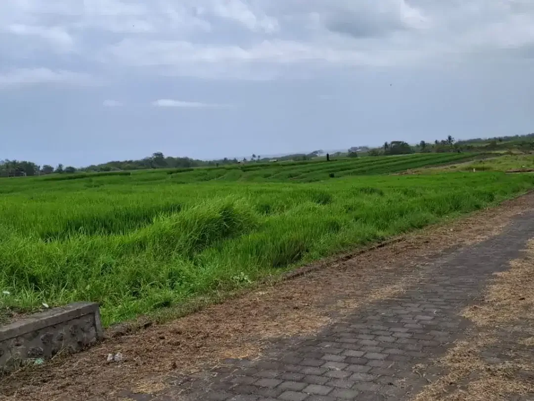 Tanah 5 Are Lokasi Premium Dijual di Kedungu, Tabanan. - Image 2 of 6