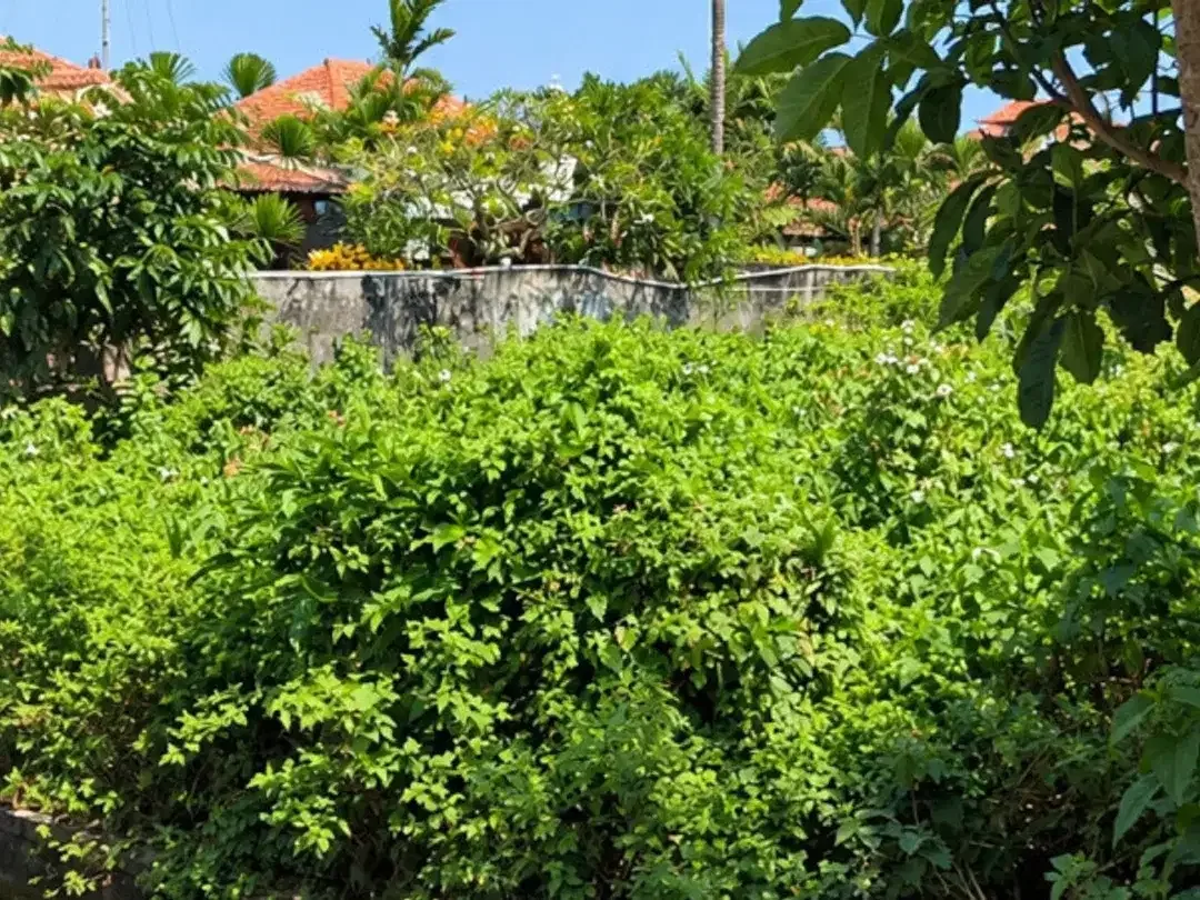 TANAH STRATEGIS 2,23 ARE – DEKAT BERAWA CANGGU - Image 2 of 4