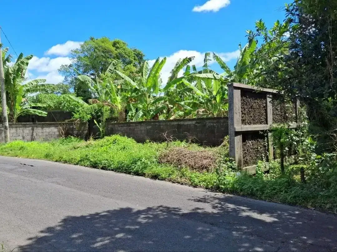 Tanah Premium 7,7 Are Dijual, di Pering Gianyar Area - Image 2 of 5